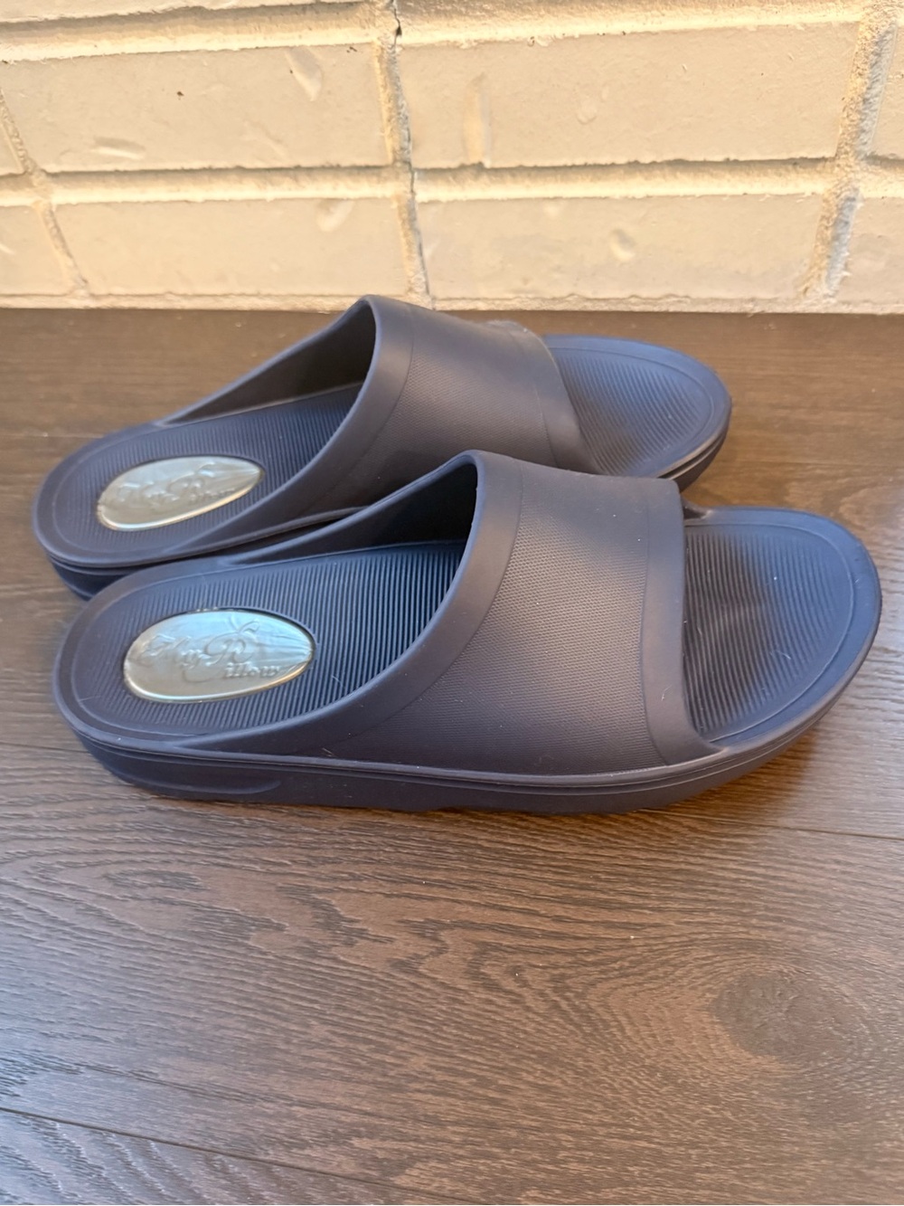 Never Worn ⭐️ Men's Slides 10 - Dark Blue - Sandals